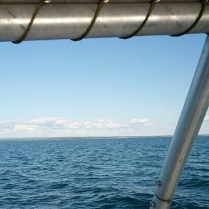 Meet your Posher, Paul